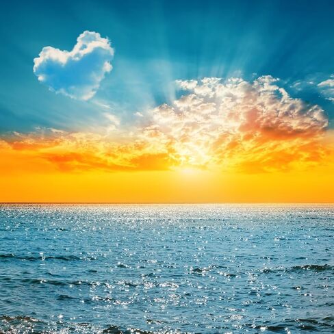 زيت عطري Good Morning Sunshine (إصدارنا من اسم العلامة التجارية) (زجاجة سعة 1 أونصة) لصنع الشموع، وصناعة الصابون، وصناعة التارت، وبخاخات الغرف، والمستحضرات، ومعطرات السيارات، ومنظفات الغسيل، ومنعم الأقمشة in Kuwait
