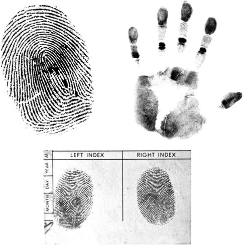 Fingerprint Ink Pad – Ultra-Black Quick-Dry Washable Ink, Flawless 10,000+ Fingerprints Crisp Impressions, Non-Toxic & Easy Cleanup – Large 6.2" Pad for Banks, Schools, Legal & Law Enforcement Use in Saudi Arabia