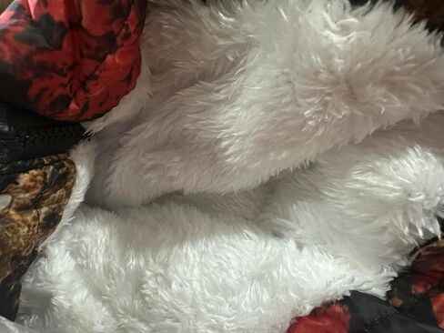 Miss Bei Girls Boys Winter Coat Down Jacket Outerwear Warm Puffer Jackets Casual Hooded Windproof Coats with Pocket in Kuwait