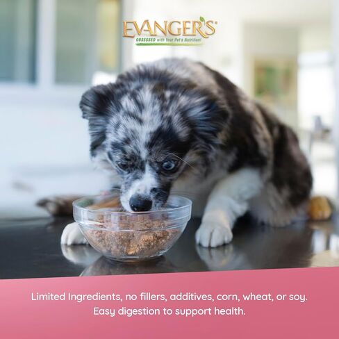 Evanger's Heritage Classics Beef for Dogs - 12.8 Ounces (Pack of 12) in Saudi Arabia