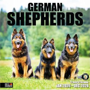 RED EMBER German Shepherds 2026 Wall Calendar 12 Month | 12" x 24" Open | Thick & Sturdy Paper | Holiday Gift | Cute Puppy Dog Calendar 2026 in Saudi Arabia