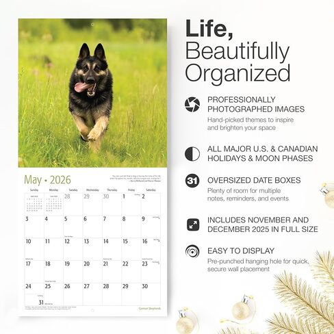 RED EMBER German Shepherds 2026 Wall Calendar 12 Month | 12" x 24" Open | Thick & Sturdy Paper | Holiday Gift | Cute Puppy Dog Calendar 2026 in Saudi Arabia