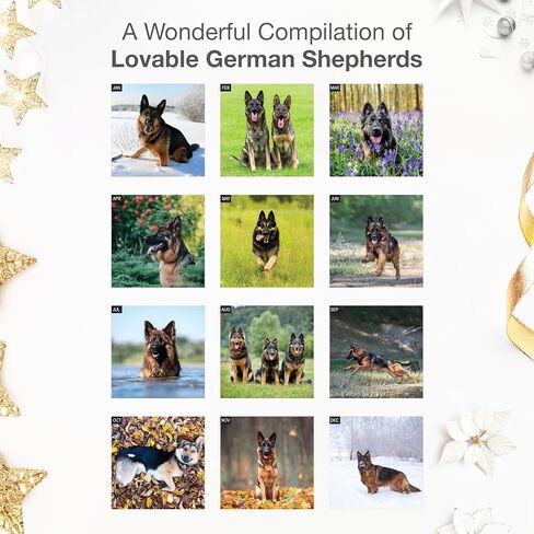 RED EMBER German Shepherds 2026 Wall Calendar 12 Month | 12" x 24" Open | Thick & Sturdy Paper | Holiday Gift | Cute Puppy Dog Calendar 2026 in Saudi Arabia