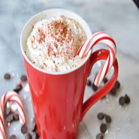 Peppermint Mocha Fragrance Oil (16 oz Bottle) for Candle Making, Soap Making, Tart Making, Room Sprays, Lotions, Car Fresheners, Slime, Bath Bombs, Warmers in Saudi Arabia