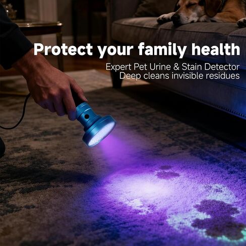 100 مصباح LED للأشعة فوق البنفسجية باللون الرمادي، شعلة محمولة بالأشعة فوق البنفسجية للكشف عن بول الحيوانات الأليفة والبقع والعقارب وبق السرير - مصباح الأشعة فوق البنفسجية عالي الطاقة (البطاريات غير متضمنة) in Kuwait