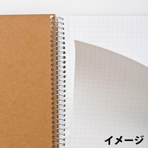 Maruman N246ES Notebook, Ring Notebook, 0.2 inch (5 mm), Square Ruled, Basic, B5, 80 Pieces, Set of 5 in Saudi Arabia