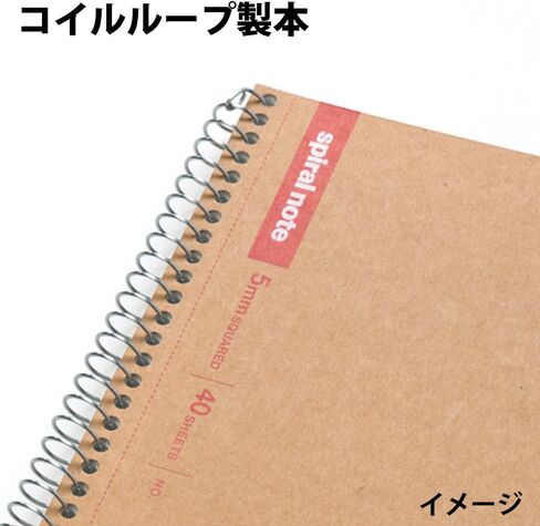 Maruman N246ES Notebook, Ring Notebook, 0.2 inch (5 mm), Square Ruled, Basic, B5, 80 Pieces, Set of 5 in Saudi Arabia