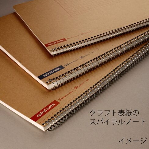 Maruman N246ES Notebook, Ring Notebook, 0.2 inch (5 mm), Square Ruled, Basic, B5, 80 Pieces, Set of 5 in Saudi Arabia