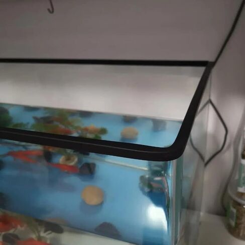 حافة مطاطية Tintvent باللون الأسود، تناسب حافة 1/2 بوصة، شريط حافة قناة U للأسطح الحادة/الخشنة، واقي الحواف للسيارات والقوارب والآلات والمزيد، 10 أقدام in Kuwait