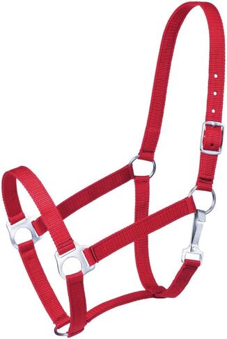 Tough 1 Economy Halter in Kuwait