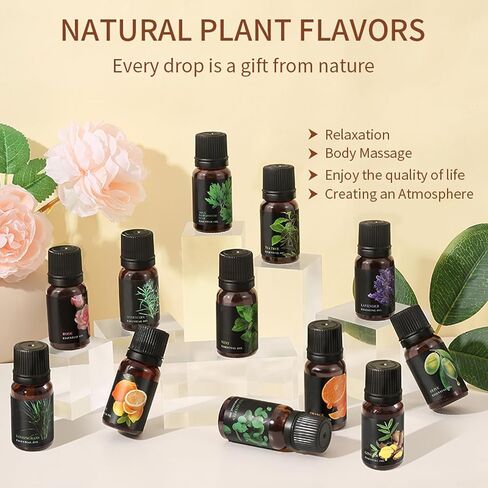 Essential Oils for Diffusers, Home Care, Candle Making Scents, Fragrance, Aromatherapy, Humidifiers, Gifts, Freshie Scents, Soap Making Supplies, Diffuser Oil Scents,Lavender (10ml) in Kuwait