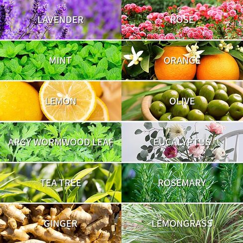 Essential Oils for Diffusers, Home Care, Candle Making Scents, Fragrance, Aromatherapy, Humidifiers, Gifts, Freshie Scents, Soap Making Supplies, Diffuser Oil Scents,Lavender (10ml) in Kuwait