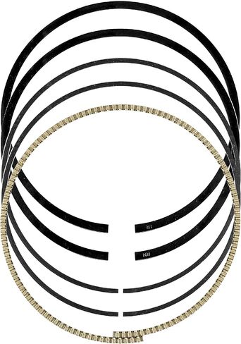 Caltric Front Rear Cylinder Piston Ring Compatible with Kawasaki Brute Force 750 KVF750 4X4i 2012-2021 in Saudi Arabia
