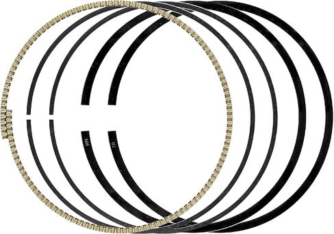 Caltric Front Rear Cylinder Piston Ring Compatible with Kawasaki Brute Force 750 KVF750 4X4i 2012-2021 in Saudi Arabia