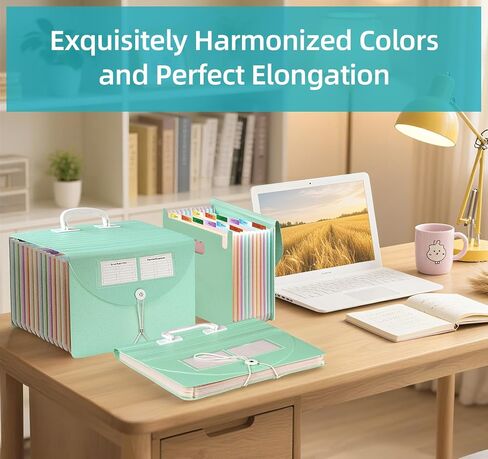 13Pocket Accordion File Organizer, Upright&Open Top, Wheat Straw Document Organizer with Tabs Expanding File Folder for Receipt and Paper Storage, Receipt Organizer for Home Office School in Saudi Arabia