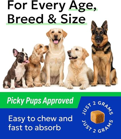 BARK&SPARK Dog Allergy Relief Chews (180 Treats) - Anti-Itch Skin & Coat Supplement - Omega 3 Fish Oil - Itchy Skin Relief Treatment Pills - Itching&Paw Licking - Dry Skin&Hot Spots - Grilled Chicken in Saudi Arabia