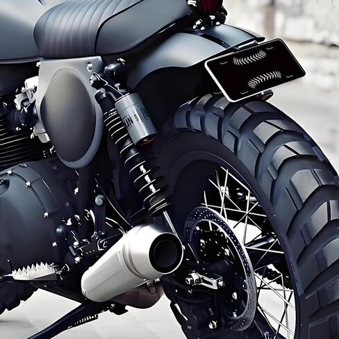 لوحة ترخيص، غطاء لوحات ترخيص معدنية من الألومنيوم بزخرفة لطيفة ومضحكة أمامية سوداء مع 4 فتحات، غطاء علامة زينة مبتكر لديكور السيارة، إكسسوار رائع لراكون الصخور in Kuwait