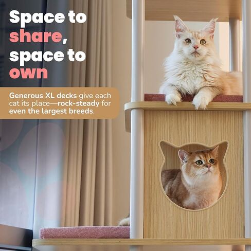 شجرة قطط كبيرة حديثة، بطول 62 بوصة مع منصات مقاس XL 25.6 بوصة، وبنية ثقيلة بوزن 60 رطلًا - إعادة تعريف أثاث القطط مع الثبات والمساحة والأناقة للقطط الكبيرة (رمادي) in Kuwait