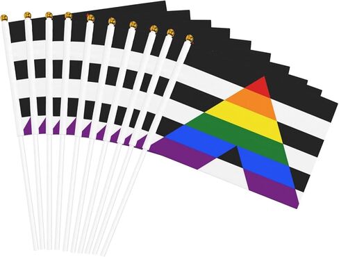 Lgbtq Gay Straight Ally Pride Small Mini Flags Hand Held Flag Decoration For Party Parades Festival Celebration 10 PC in Saudi Arabia