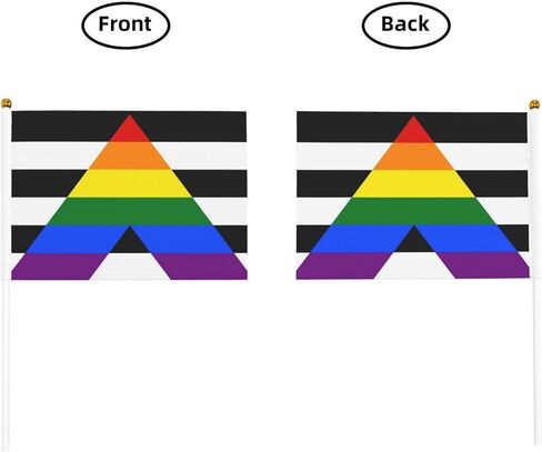 Lgbtq Gay Straight Ally Pride Small Mini Flags Hand Held Flag Decoration For Party Parades Festival Celebration 10 PC in Saudi Arabia