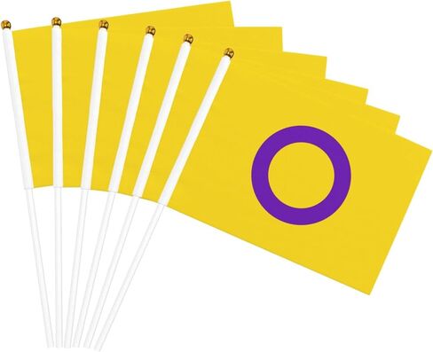 Lgbtq Gay Straight Ally Pride Small Mini Flags Hand Held Flag Decoration For Party Parades Festival Celebration 10 PC in Saudi Arabia