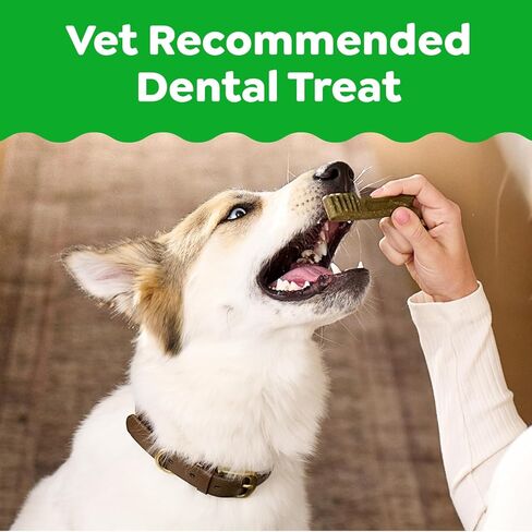 GREENIES Large Natural Dog Dental Care Chews Oral Health Dog Treats Fresh Flavor, 12 oz. Pack (8 Treats) in Saudi Arabia