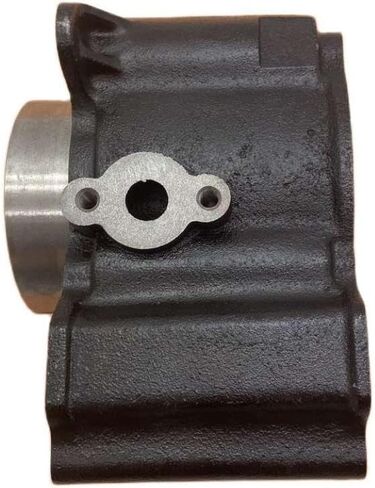 Cylinder With Piston Set 72.5mm For FA D300 H300 G300 300CC Engine Compatible With ATV Quad in Saudi Arabia