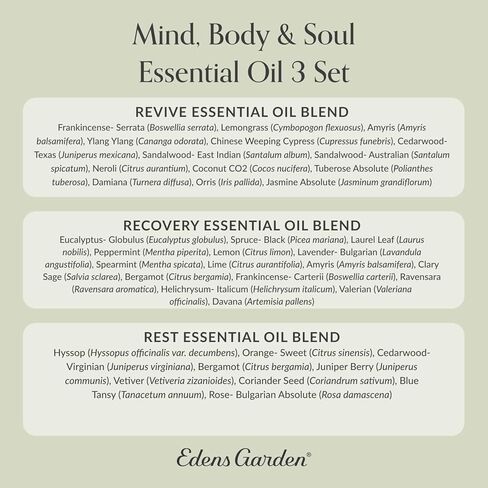 Edens Garden "OK for Kids" 3 Set, Best 100% Pure Essential Oil Synergy Blend Aromatherapy Starter Kit (Child Safe 2+, for Diffuser & Therapeutic Use), 10 ml in Saudi Arabia