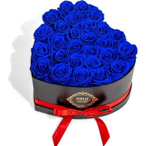 Otuo Preserved Roses Gift Jewerlry Box, Real Eternal Rose Flower with Necklace and Led Mood Light, Gifts for Girlfriend, Mom, Women, Wife, Birthday (Red) in Kuwait