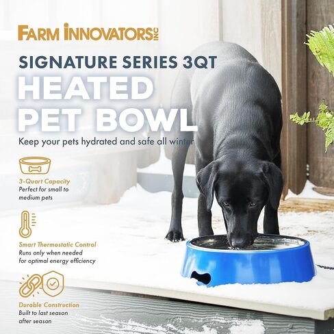Farm Innovators Model SB-40 3-Quart Heated Pet Bowl with Stainless Steel Bowl Insert, Blue, 40-Watt in Saudi Arabia