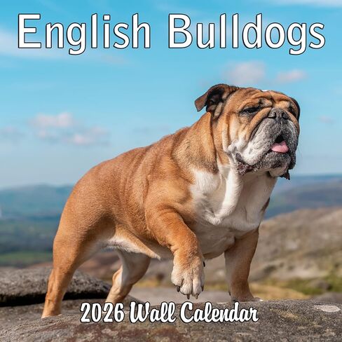 2026 Treat Time Monthly Wall Calendar | Funny Dogs Calendar September 2025 - December 2026 in Saudi Arabia