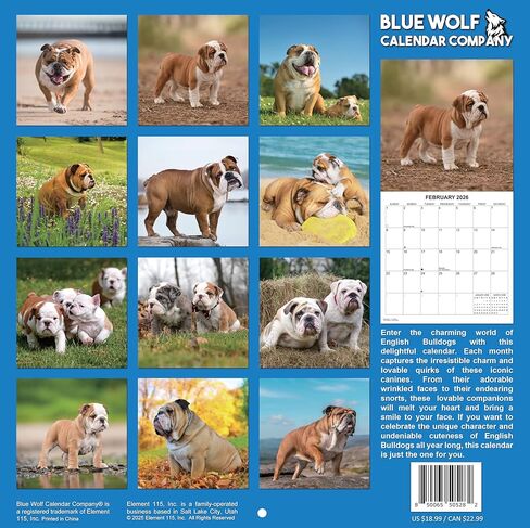 2026 Treat Time Monthly Wall Calendar | Funny Dogs Calendar September 2025 - December 2026 in Saudi Arabia