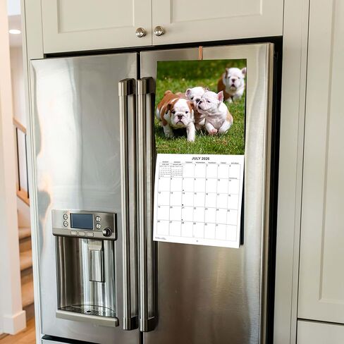 2026 Treat Time Monthly Wall Calendar | Funny Dogs Calendar September 2025 - December 2026 in Saudi Arabia