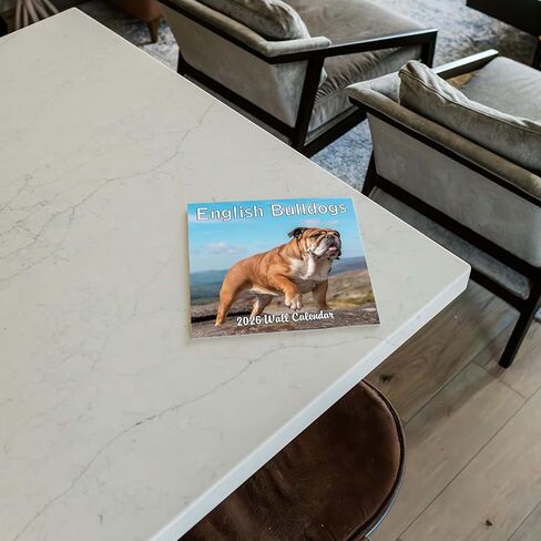 2026 Treat Time Monthly Wall Calendar | Funny Dogs Calendar September 2025 - December 2026 in Saudi Arabia