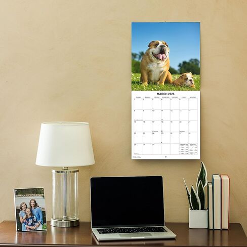 2026 Treat Time Monthly Wall Calendar | Funny Dogs Calendar September 2025 - December 2026 in Saudi Arabia