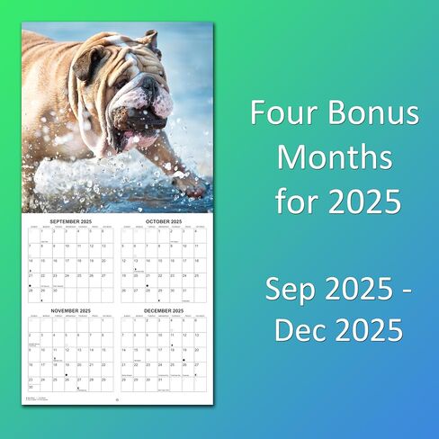 2026 Treat Time Monthly Wall Calendar | Funny Dogs Calendar September 2025 - December 2026 in Saudi Arabia