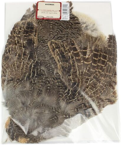 Hungarian Partridge Whole Skins in Saudi Arabia