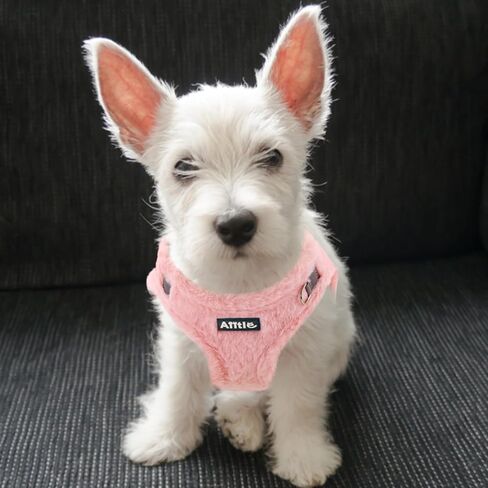 AIITLE Step in Dog Harness and Leash Set - Warm and Cozy Dog Vest Harness with Velcro Design, Reflective No-Pull Plush Pet Harness for Outdoor Walking, Training for Small Dogs, Cats White XXS in Kuwait