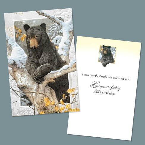 Pumpernickel Press Wildlife of North America Deluxe Card Assortment – Set of 30 in Kuwait