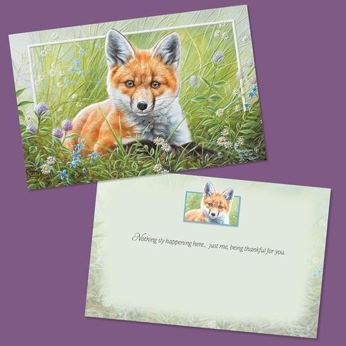 Pumpernickel Press Wildlife of North America Deluxe Card Assortment – Set of 30 in Kuwait