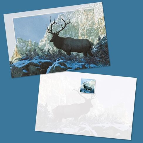Pumpernickel Press Wildlife of North America Deluxe Card Assortment – Set of 30 in Kuwait