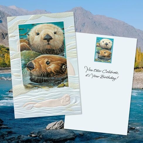 Pumpernickel Press Wildlife of North America Deluxe Card Assortment – Set of 30 in Kuwait