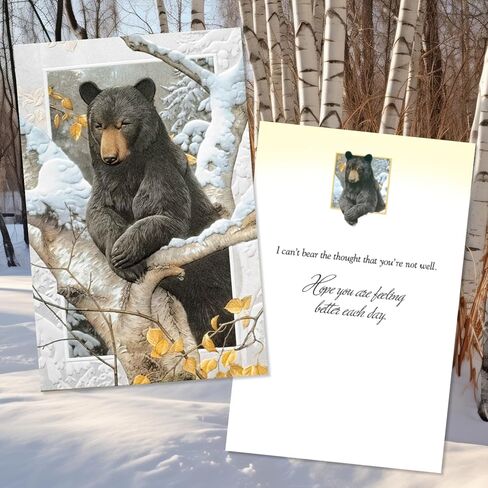 Pumpernickel Press Wildlife of North America Deluxe Card Assortment – Set of 30 in Kuwait