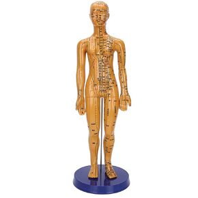 Human Body Acupuncture Model Meridians Acupuncture Model Copper Color Meridians Acupuncture Point Model for Acupuncturists, Massage Therapists(Female) in Saudi Arabia