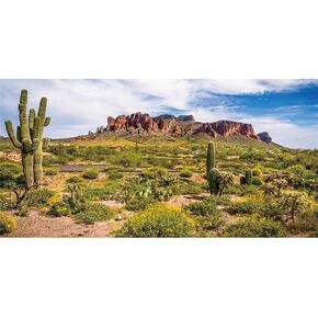 AWERT Reptile Habitat Blue Sky Oasis Cactus Gobi Terrarium Background 24x12 inches Durable Polyester Background