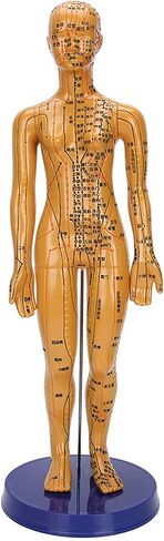Human Body Acupuncture Model Meridians Acupuncture Model Copper Color Meridians Acupuncture Point Model for Acupuncturists, Massage Therapists(Female) in Saudi Arabia