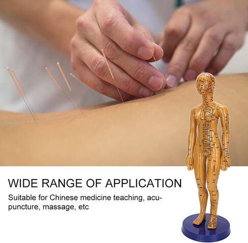 Human Body Acupuncture Model Meridians Acupuncture Model Copper Color Meridians Acupuncture Point Model for Acupuncturists, Massage Therapists(Female) in Saudi Arabia