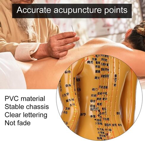 Human Body Acupuncture Model Meridians Acupuncture Model Copper Color Meridians Acupuncture Point Model for Acupuncturists, Massage Therapists(Female) in Saudi Arabia