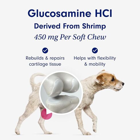 Petlab Co. Joint Care Chews - High Levels of Glucosamine for Dogs, Green Lipped Mussels, Omega 3 and Turmeric - Dog Hip and Joint Supplement to Actively Support Mobility (Value 2 Pack) in Kuwait