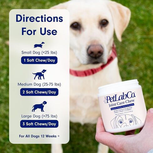 Petlab Co. Joint Care Chews - High Levels of Glucosamine for Dogs, Green Lipped Mussels, Omega 3 and Turmeric - Dog Hip and Joint Supplement to Actively Support Mobility (Value 2 Pack) in Kuwait